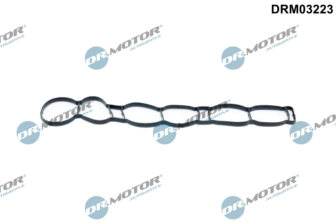 Gasket, intake manifold